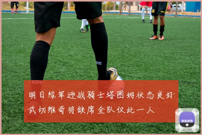 明日绿军迎战骑士塔图姆状态良好武切维奇将缺席全队仅此一人